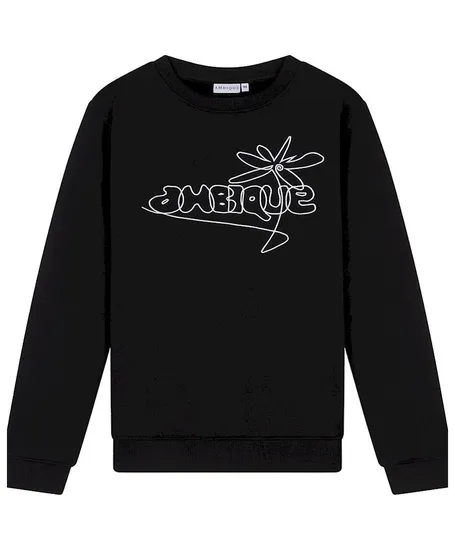 AMBIQUE Sweater Elliot