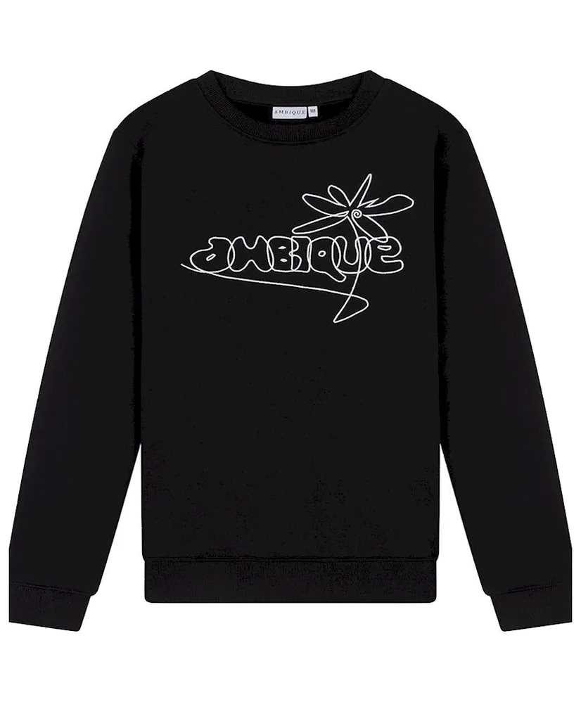 AMBIQUE Sweater Elliot