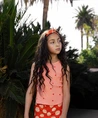 Ammehoela Top Elyn
