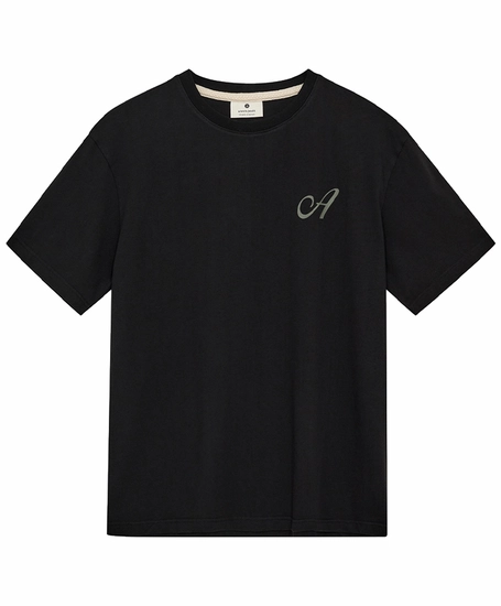 Anerkjendt T-shirt Villads