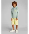 Calvin Klein Hoodie Chest Logo
