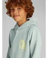 Calvin Klein Hoodie Chest Logo