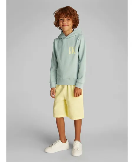 Calvin Klein Hoodie Chest Logo