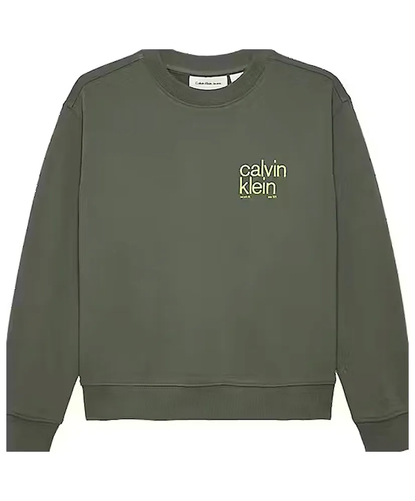 Calvin Klein Sweater Backprint