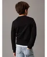 Calvin Klein Sweater Mono