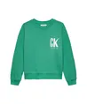 Calvin Klein Sweater Summer Backprint
