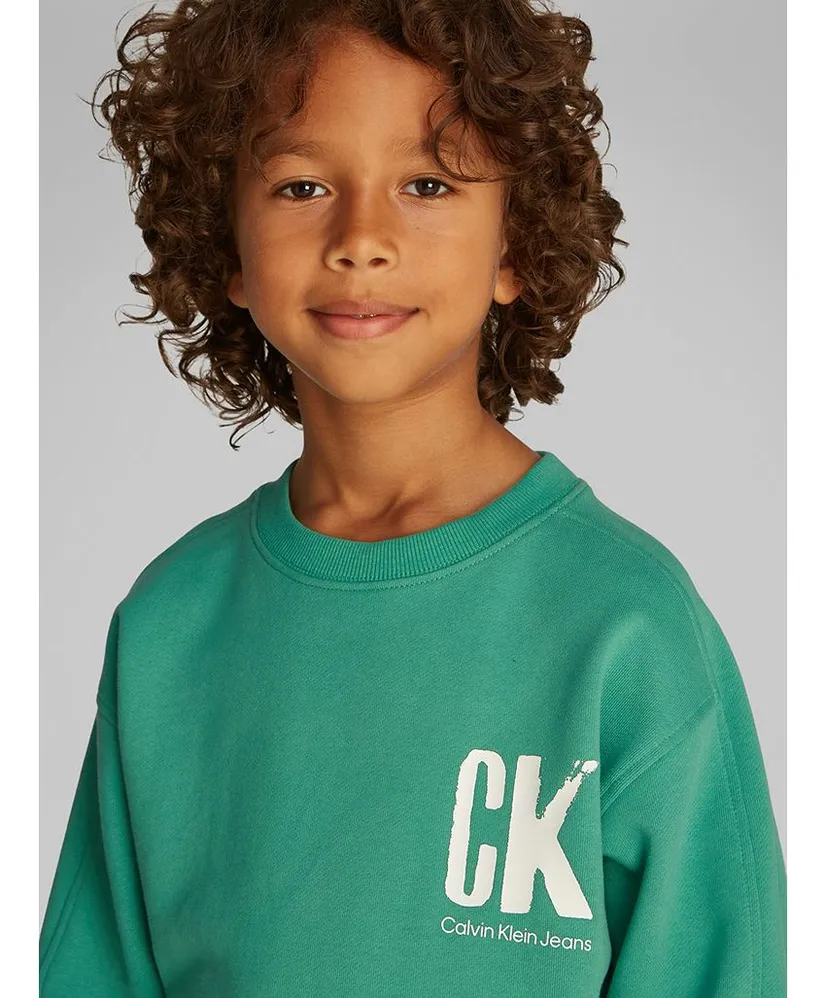 Calvin Klein Sweater Summer Backprint