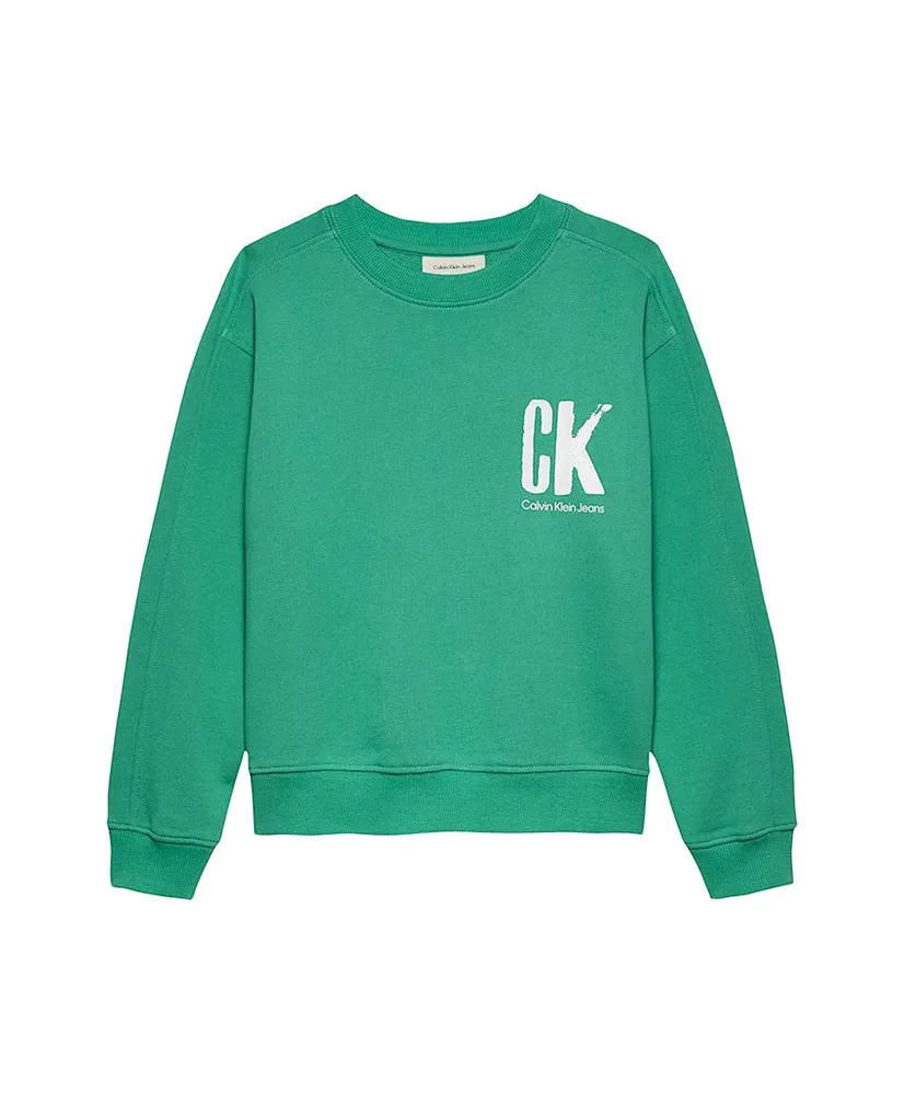 Calvin Klein Sweater Summer Backprint