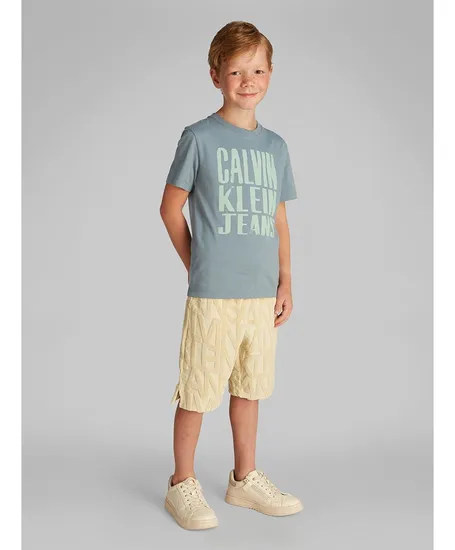 Calvin Klein T-shirt Bold Print