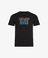 Calvin Klein T-shirt Gradient Flock Logo