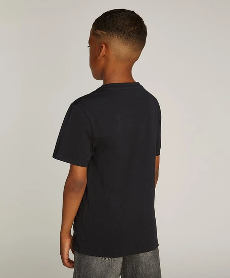 Calvin Klein T-shirt Gradient Flock Logo