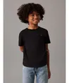 Calvin Klein T-shirt Mono Mini Badge