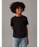 Calvin Klein T-shirt Mono Mini Badge