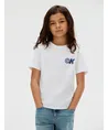 Calvin Klein T-shirt Seasonal