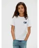 Calvin Klein T-shirt Seasonal