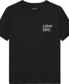 Calvin Klein T-shirt Small Graphic