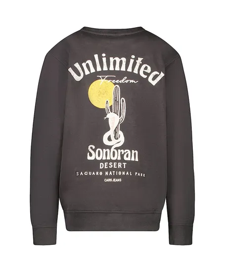 Cars Jeans Sweater Bexhi