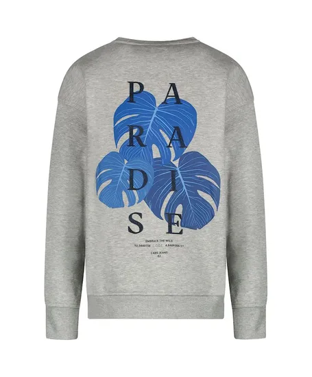 Cars Jeans Sweater Diso