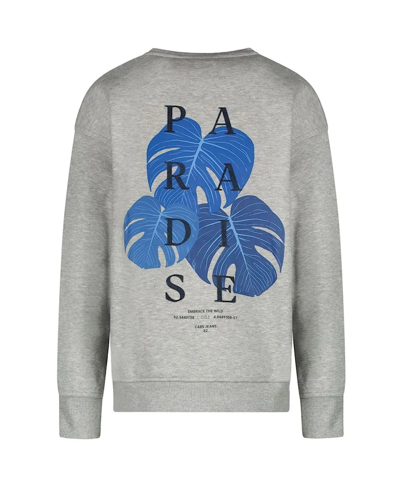 Cars Jeans Sweater Diso