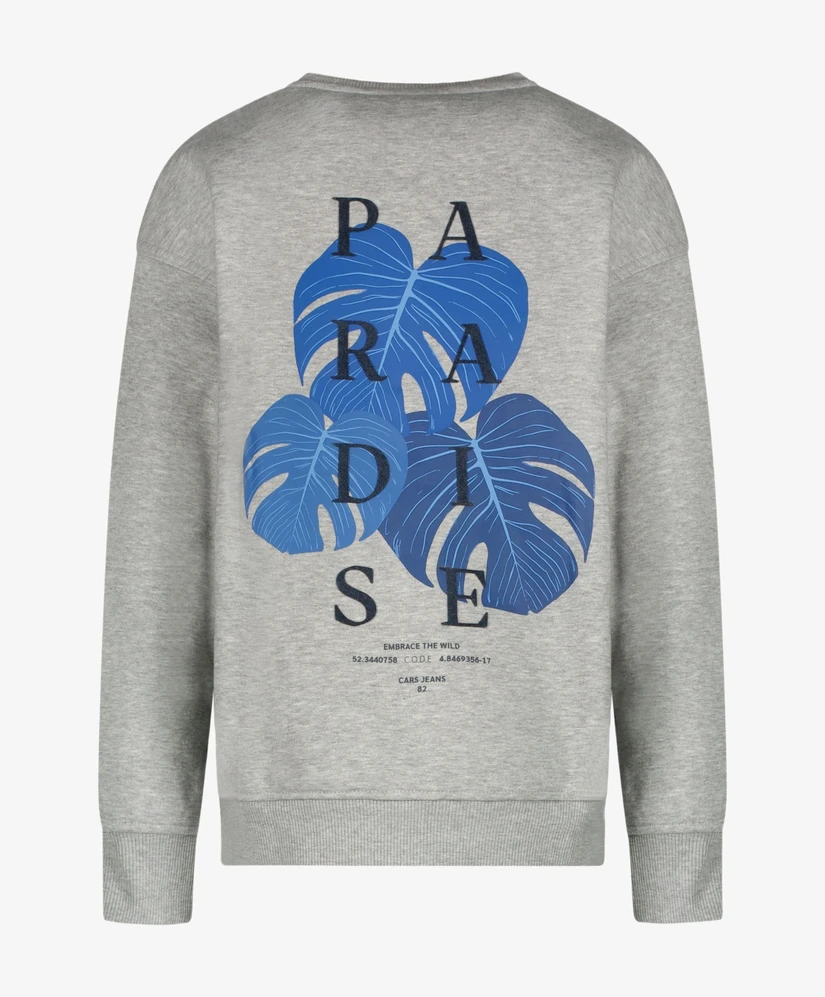 Cars Jeans Sweater Diso