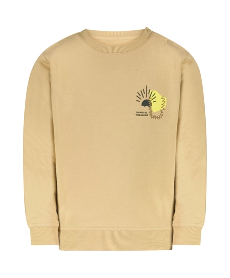 Cars Jeans Sweater Yilo