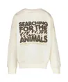 Cars Jeans Sweater Zez