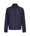 Cavallaro Napoli Jas Quinzoni