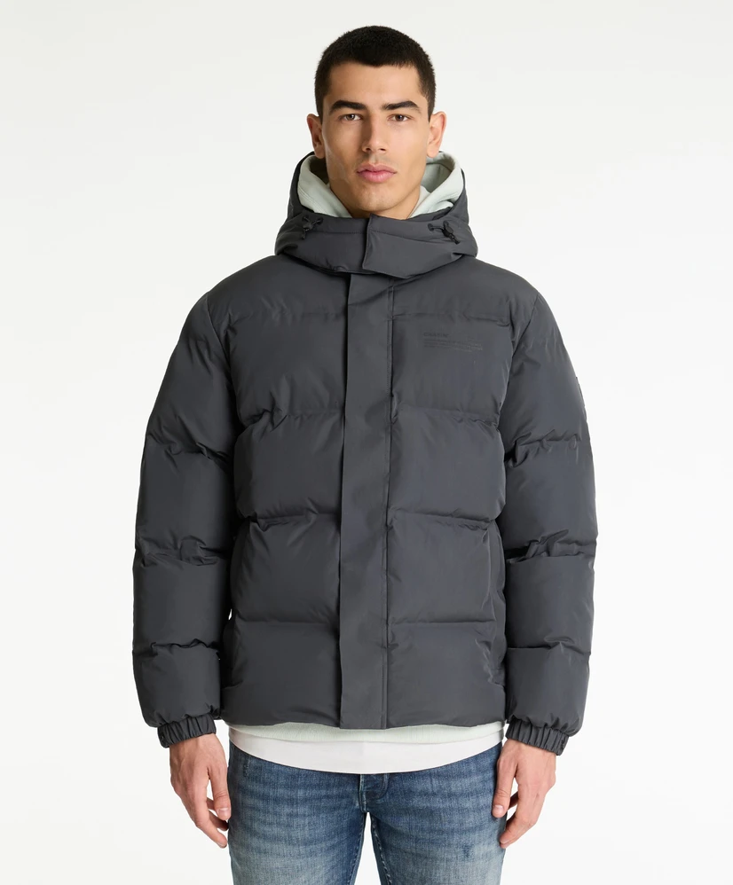 Chasin' Puffer Jas Nebula