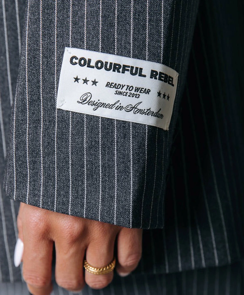 Colourful Rebel Blazer Mimmi Pinstripe