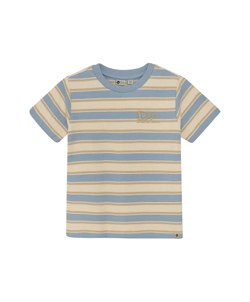 Daily7 T-shirt Stripe