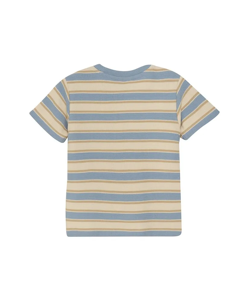 Daily7 T-shirt Stripe