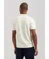 Dstrezzed Polo Camilo