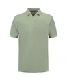 Dstrezzed Polo Roy