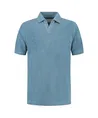 Dstrezzed Polo Roy