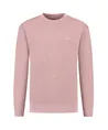 Dstrezzed Sweater Nikol