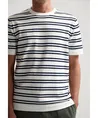 Dstrezzed T-shirt Nereo