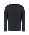 Dstrezzed Trui Crew Ribknit