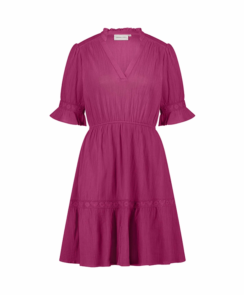 Fabienne Chapot Mini Jurk Aruna