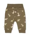 FEETJE Broek Allover Print Rawrsome