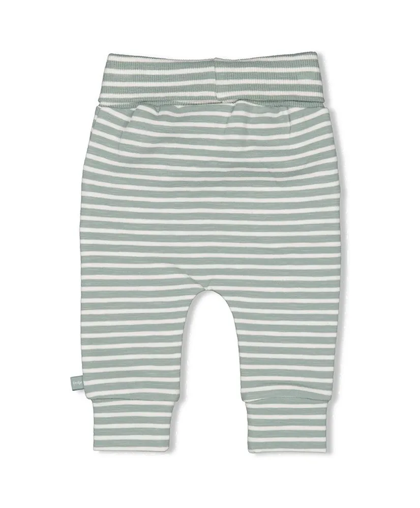 FEETJE Broek Streep Turtelly Cool