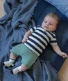 FEETJE Short Later Gator
