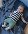 FEETJE T-shirt Gestreept Later Gator