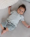 FEETJE T-shirt Streep Turtelly Cool
