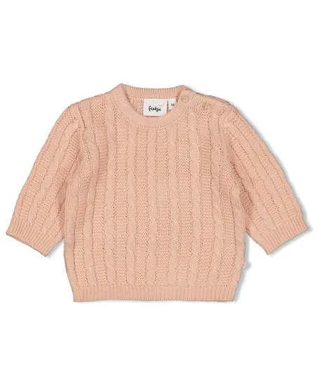 FEETJE Trui Gebreid The Knits