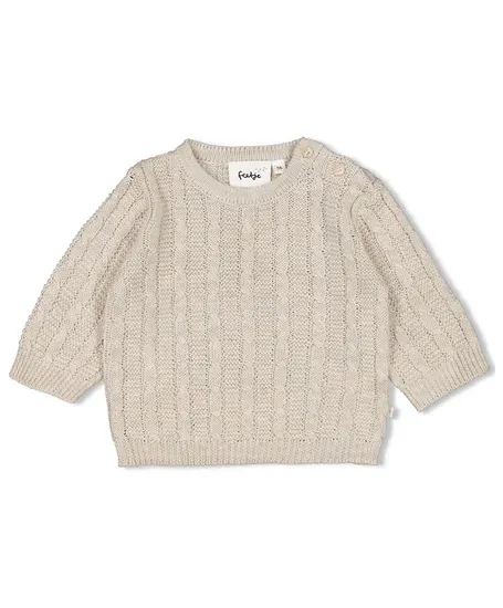 FEETJE Trui Gebreid The Knits