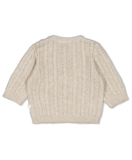 FEETJE Trui Gebreid The Knits