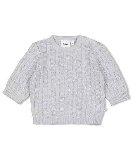 FEETJE Trui The Knits