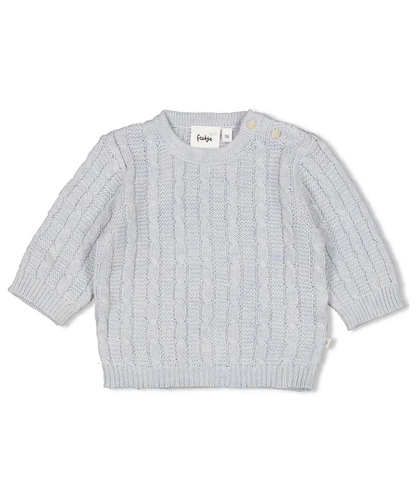 FEETJE Trui The Knits