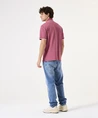 GARCIA Polo Structuur