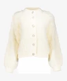 Geisha Vest Furry